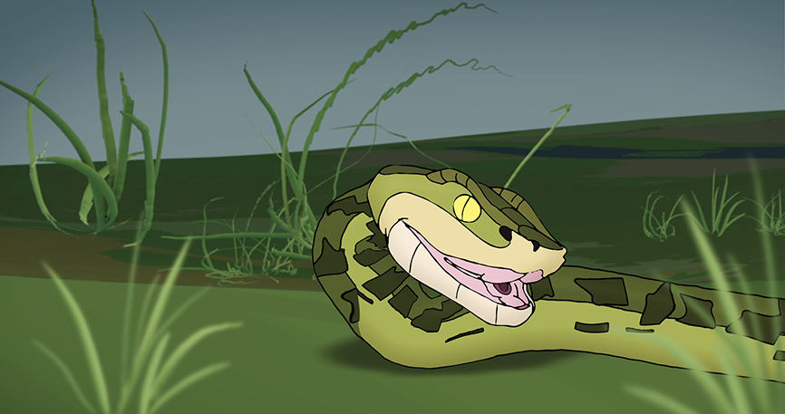 DOMITAE_NATURAE_3.png