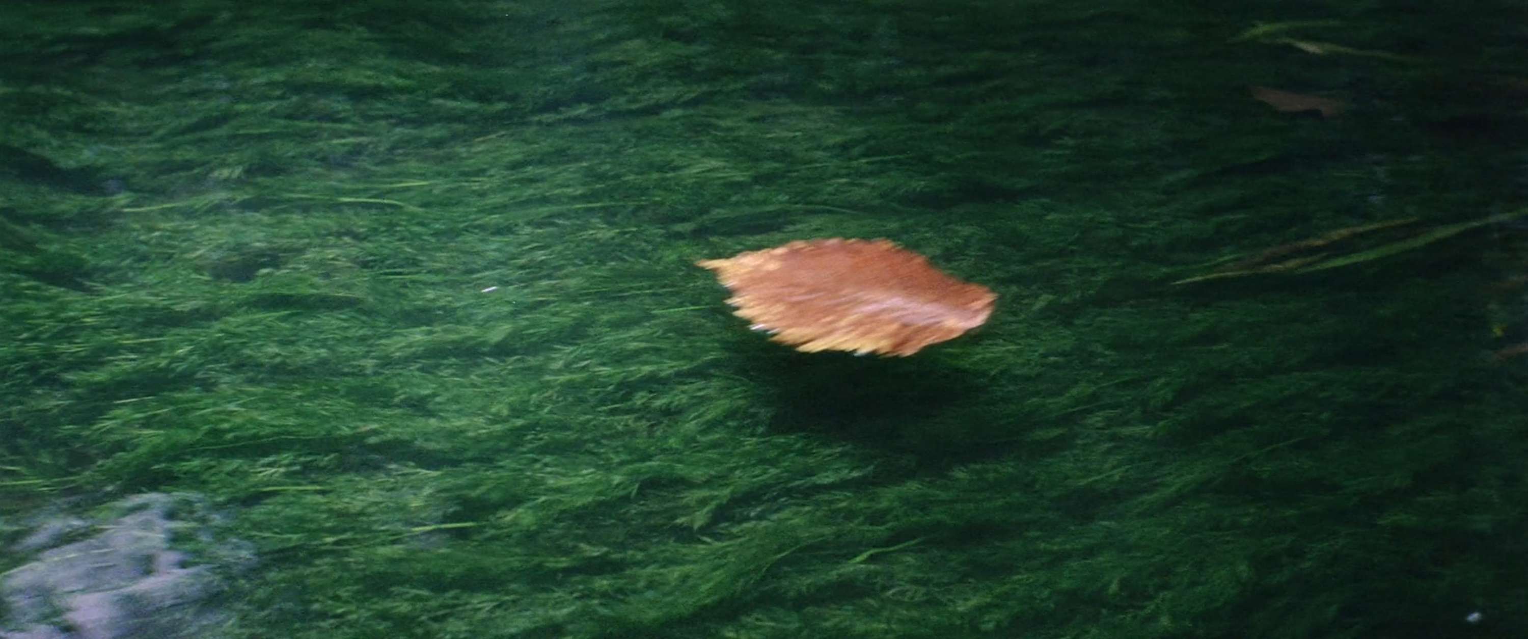 ATLAS OF PLACES ANDREI TARKOVSKY SOLARIS IMG 1