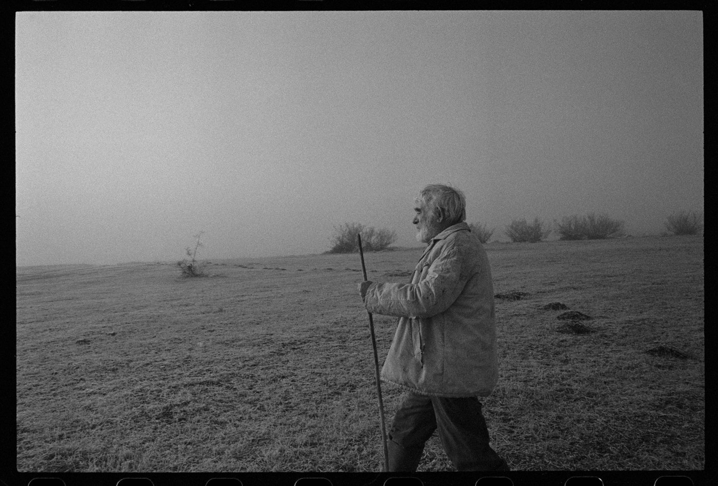 Ivan Nalbantov February copyright Kamen Kalev8 n51a