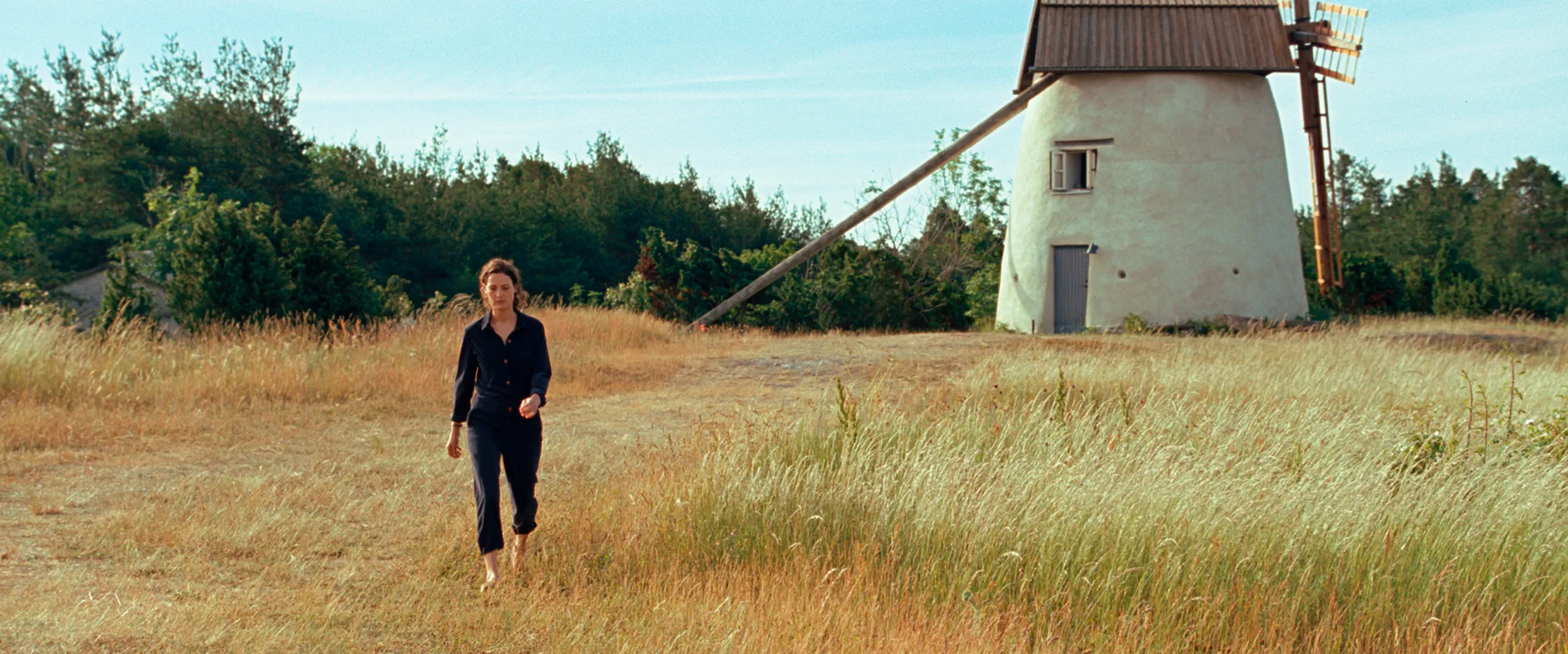 bergman island1