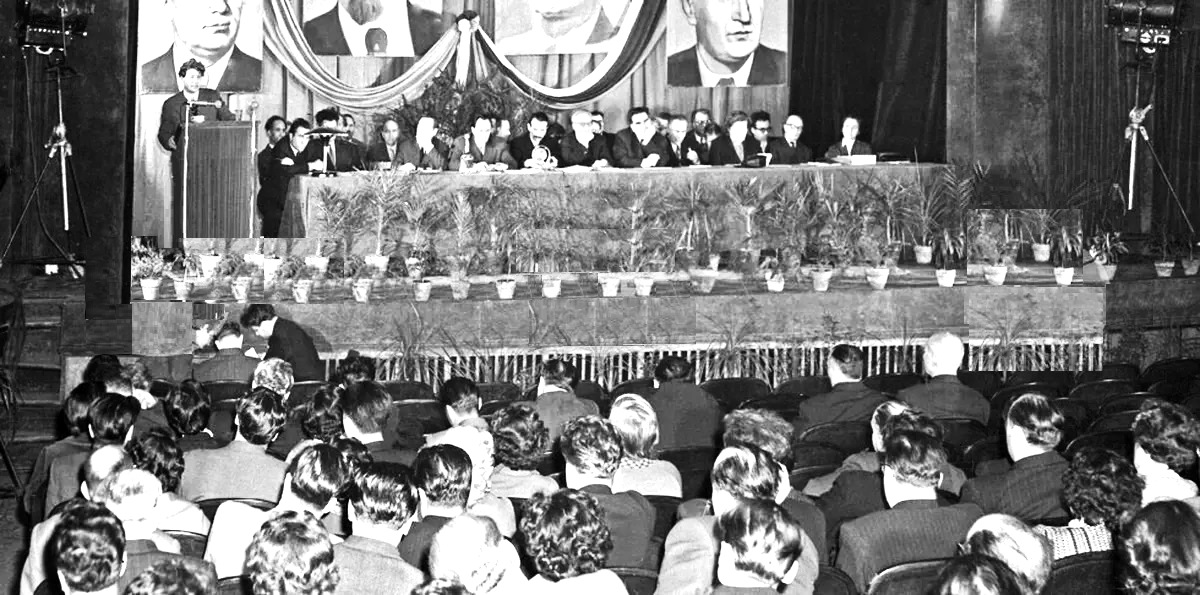 KINO_1_1_04_24_9.jpg