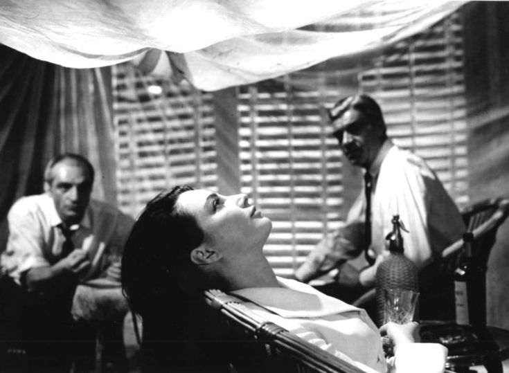 KINO_2_2_09_24_8.jpg