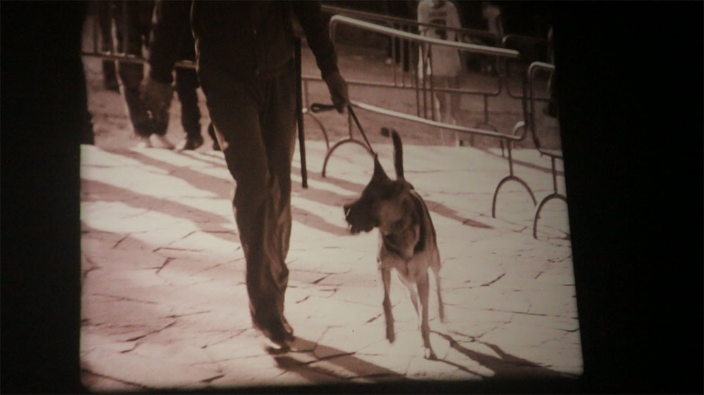 KINO_3_3_10_24_9.jpg