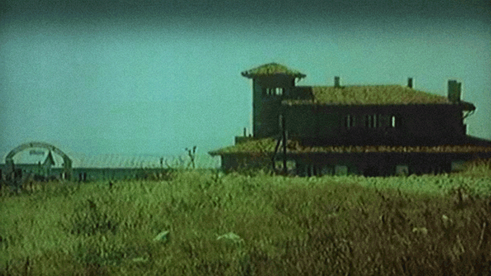 Screenshot-2022-06-01-082755.png