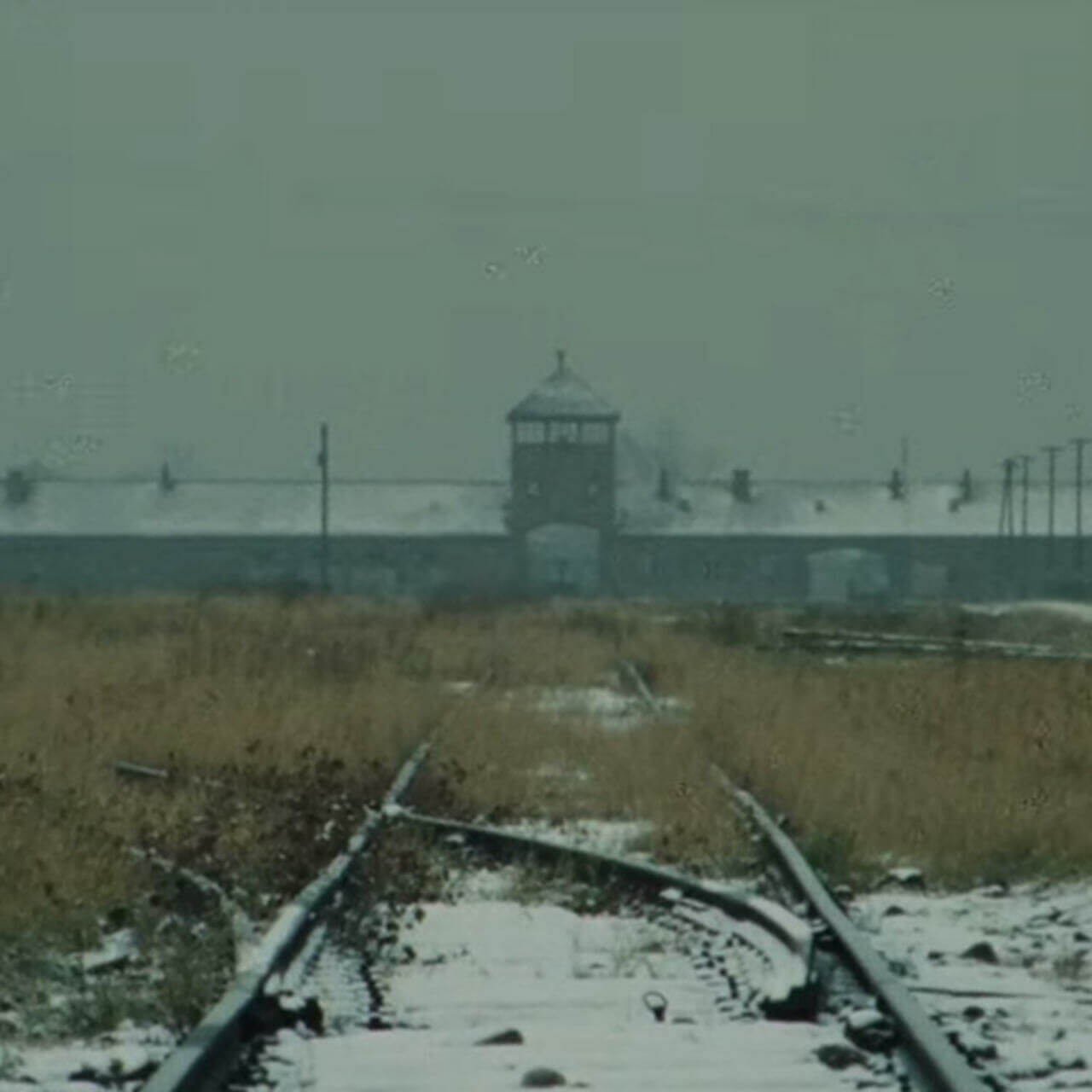 Shoah 1