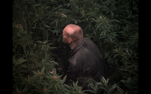 STALKER 05