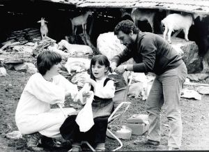 Image  3 