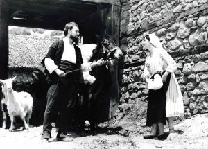 Image  4 
