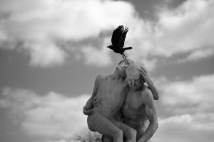 the crow