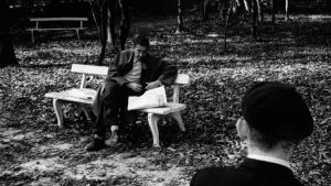 GALERIA 09 18