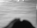 GALERIA 09 43