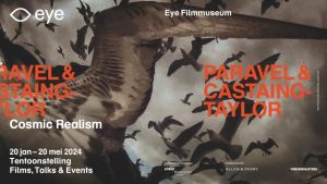 CosmicRealism poster1