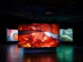 Paravel   Castaing Taylor  Eye Filmmuseum  2024   c  Studio Hans Wilschut  1 