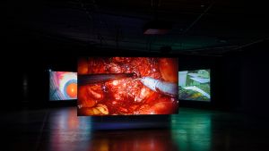 Paravel   Castaing Taylor  Eye Filmmuseum  2024   c  Studio Hans Wilschut  1 