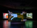 Paravel   Castaing Taylor  Eye Filmmuseum  2024   c  Studio Hans Wilschut  2 