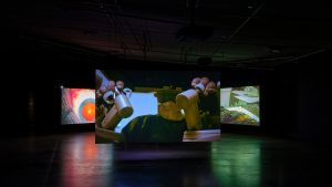 Paravel   Castaing Taylor  Eye Filmmuseum  2024   c  Studio Hans Wilschut  2 