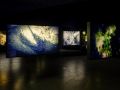 Paravel   Castaing Taylor  Eye Filmmuseum  2024   c  Studio Hans Wilschut  6 