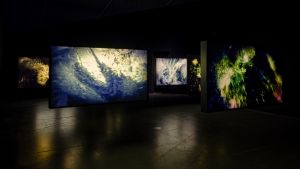 Paravel   Castaing Taylor  Eye Filmmuseum  2024   c  Studio Hans Wilschut  6 
