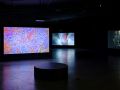 Paravel   Castaing Taylor  Eye Filmmuseum  2024   c  Studio Hans Wilschut  7 