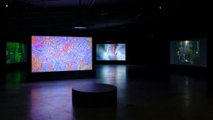 Paravel   Castaing Taylor  Eye Filmmuseum  2024   c  Studio Hans Wilschut  7 