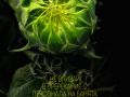 PLAKAT 07 small