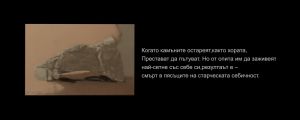 izlojba.00 01 09 00.Still013