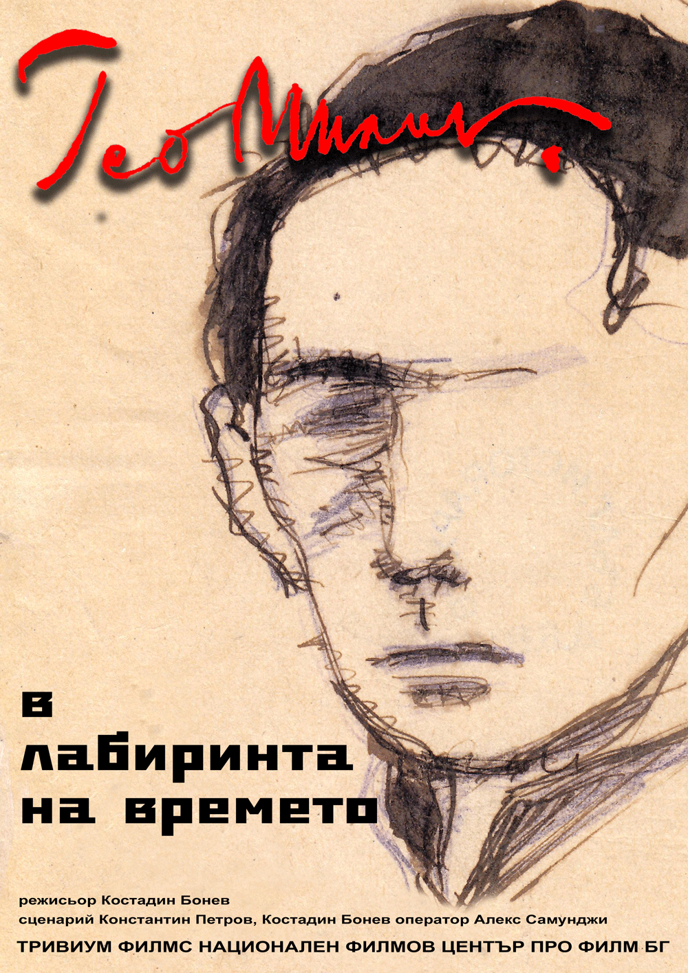 plakat-v-labirinta.png