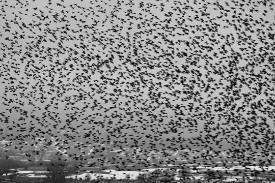 punctum-50.jpg