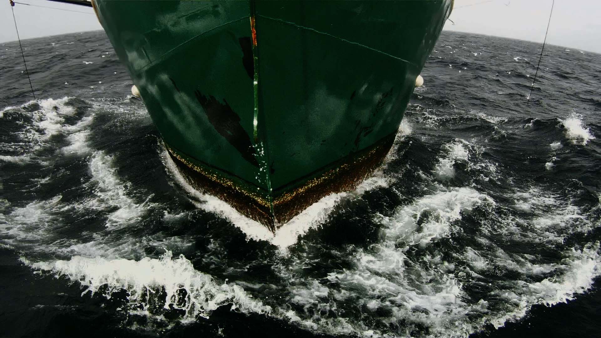 still_Leviathan_VÇrÇna_Paravel_Lucien_Castaing-Taylor_VS_2012_3.jpg