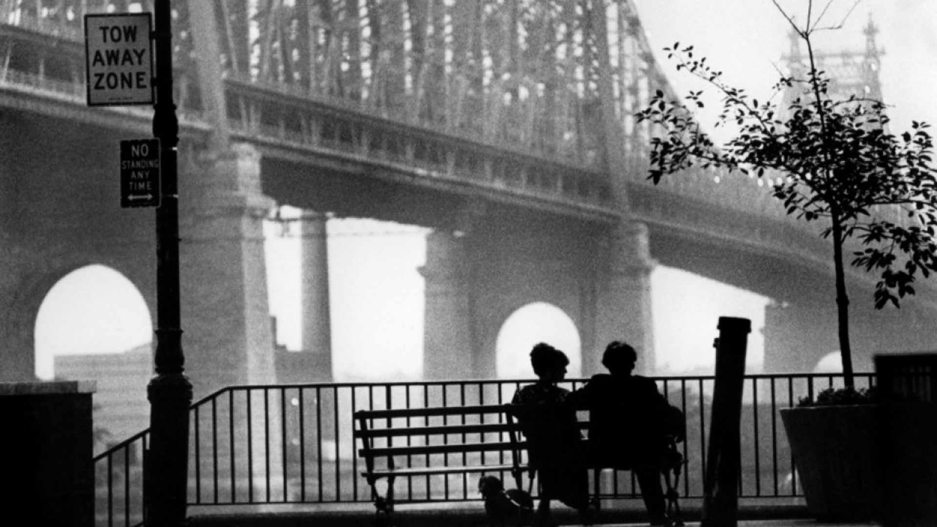 woody-allen-movies-wallpapers-hd_1.jpg